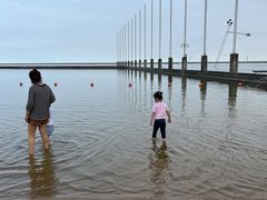 -碧海金沙
