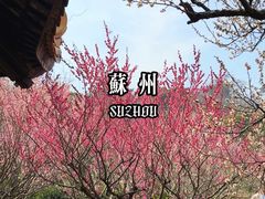-雨花胜境