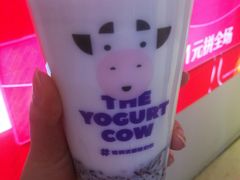 -一只酸奶牛(时代天街A馆店)