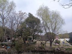 -白马涧龙池景区