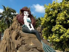 -大梅沙海滨公园