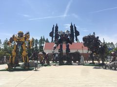 -上海长兴岛郊野公园