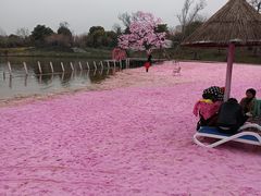 -上海杨姆庄园