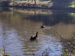 -沈阳森林动物园