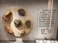 -贵州省地质博物馆