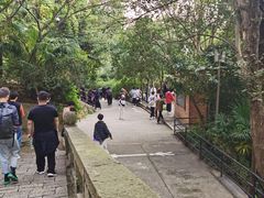 -上海佘山国家森林公园西佘山园