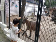 -金庭庄园酒店-停车场