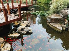 -昆明洲际酒店