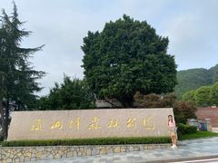 -铁山坪森林公园