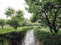 -常家庄园