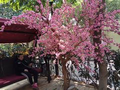 -NLFS1983咖啡花园餐厅(锦桂店)
