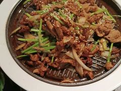 -秀儿四九城·新京菜(亚运村鸟巢店)