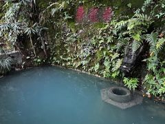 -十八棵（老龙井）御茶园(老龙井店)