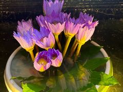 -桂花楼淮扬中餐厅(浦东香格里拉店)