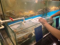 点击看大图 -悦鼎会海鲜姿造·宴会厅(东方明珠广场店)