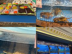 水产区-卢家湾大酒店(诸暨店)