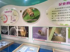 -上海昆虫博物馆