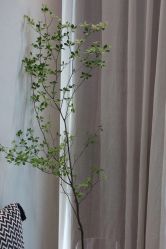 -ARC弧线沙龙