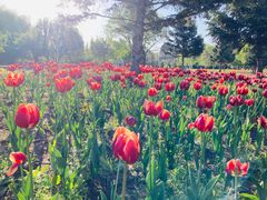 -长春公园(普阳街道)