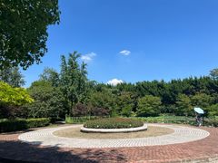 -嘉定紫藤园