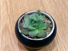 -Peet's Coffee皮爷咖啡(豫园店)