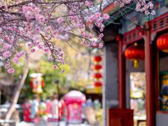 -白家大院·王府宫廷菜(苏州街店)