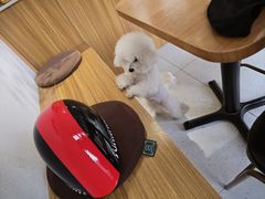 -MOI COFFEE(江山汇悦山府店)