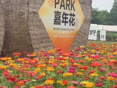 -嘉北郊野公园
