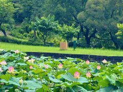 -广州莲花山旅游区