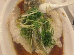 -清新鸡沙田乳鸽店(金融店)