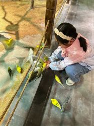 -酷嗒动物文化乐园(cutezoo西溪乐天城店)