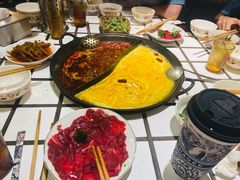 -朱光玉火锅馆(正弘城店)