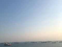 -圣淘沙天际线斜坡滑车