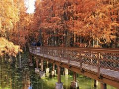 -青山湖景区