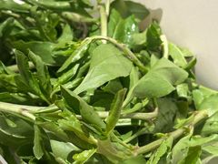 -十二舍·湯物素煮(江泰潤政店)