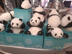 -熊猫屋(宽窄巷子景区店)