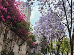 -西南林业大学(白龙校区)