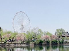 -无锡蠡湖国家湿地公园-蠡园