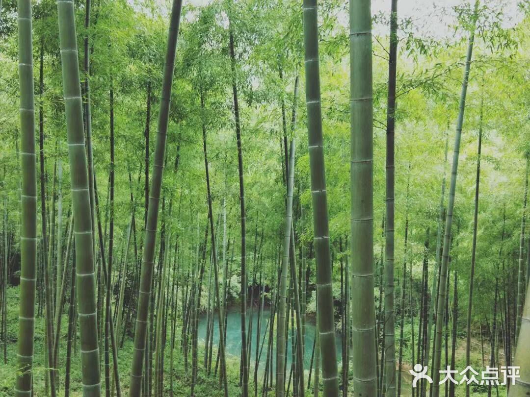 杭宣古道