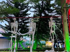 -厦门方特梦幻王国