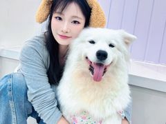 -汪说·狗咖·拼豆·宠物周边DIY(旺城大厦店)