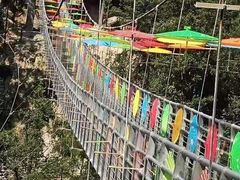 -九龙江国家森林公园