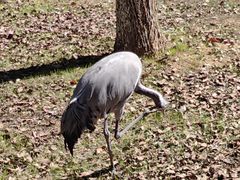 -艾溪湖湿地公园
