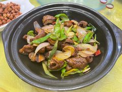 -星月美食城