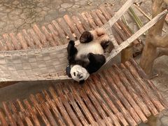 -沈阳森林动物园