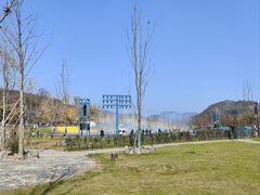 -千年银杏谷文化旅游区