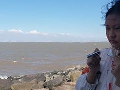 -吴淞炮台湾湿地森林公园烧烤区