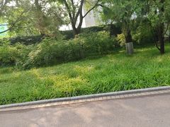 -中青旅山水时尚酒店餐厅(雁栖店)