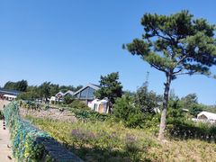 -莫子山公园