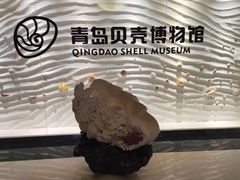 -青岛贝壳博物馆